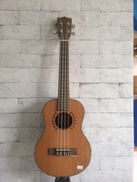 Ukulele DT170