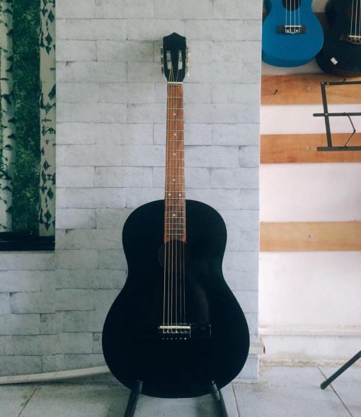 Guitar Acoustic DT-070