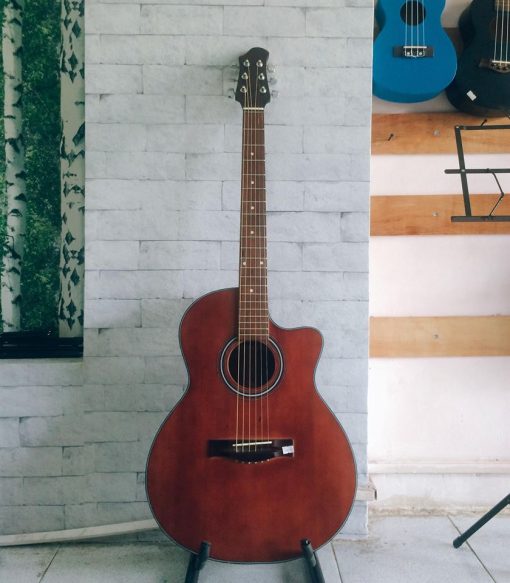 Đàn Guitar Acoustic DT-AC130