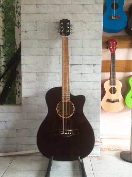 Guitar Acoustic DT012