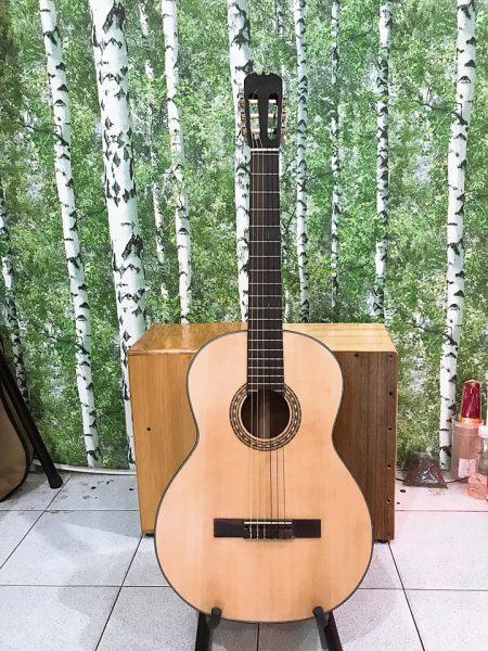 Guitar Classic DT014