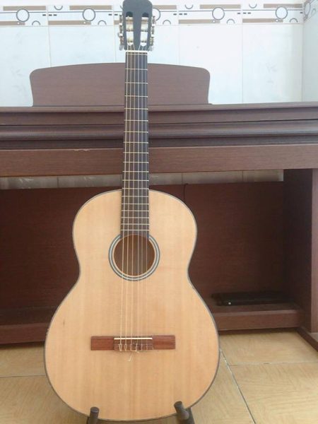 Guitar Classic DT013