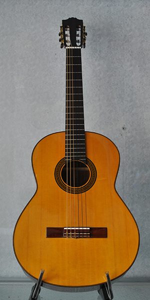 Đàn Guitar Classic DT-HD170