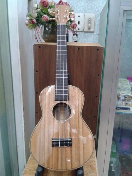 Đàn Ukulele DC100