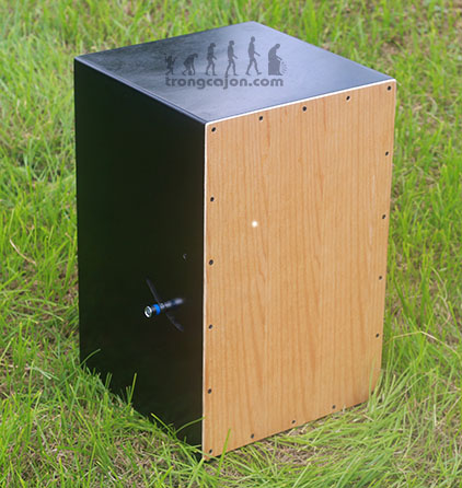 Trống Cajon DT-CJ800